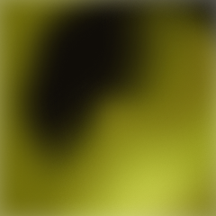 voice