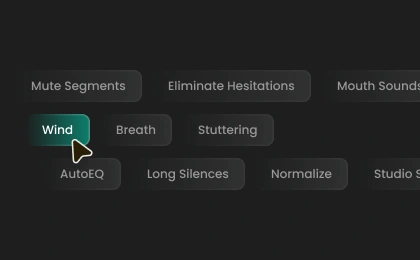 Remove Wind Noise from Audio